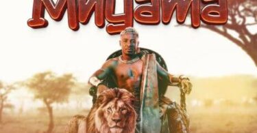 MP3 DOWNLOAD Alikiba – Mnyama