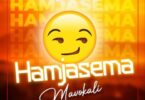 MP3 DOWNLOAD Mavokali – Hamjasema