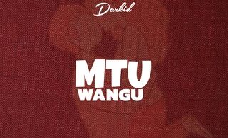 MP3 DOWNLOAD Darkid - Mtu Wangu