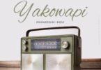 MP3 DOWNLOAD Mavokali – Yako Wapi