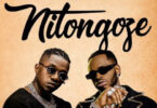 MP3 DOWNLOAD Rayvanny Ft Diamond Platnumz - Nitongoze