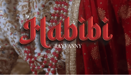 MP4 DOWNLOAD Rayvanny – Habibi