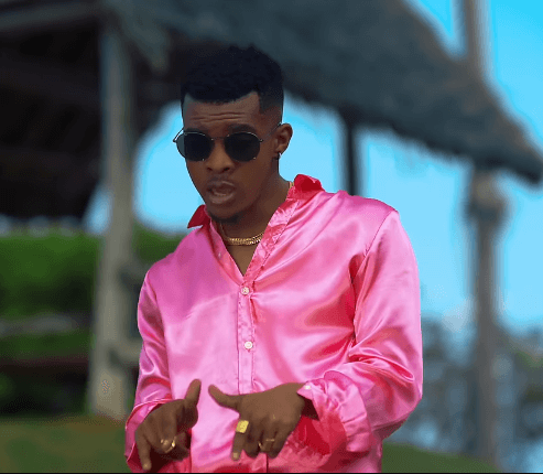 MP4 DOWNLOAD Kusah Ft Barnaba - Nibebe