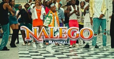 MP4 DOWNLOAD Mavokali – Nalego