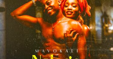 MP3 DOWNLOAD Mavokali – Nalego