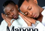 MP3 DOWNLOAD Mavokali Ft Rayvanny - Mapopo Remix