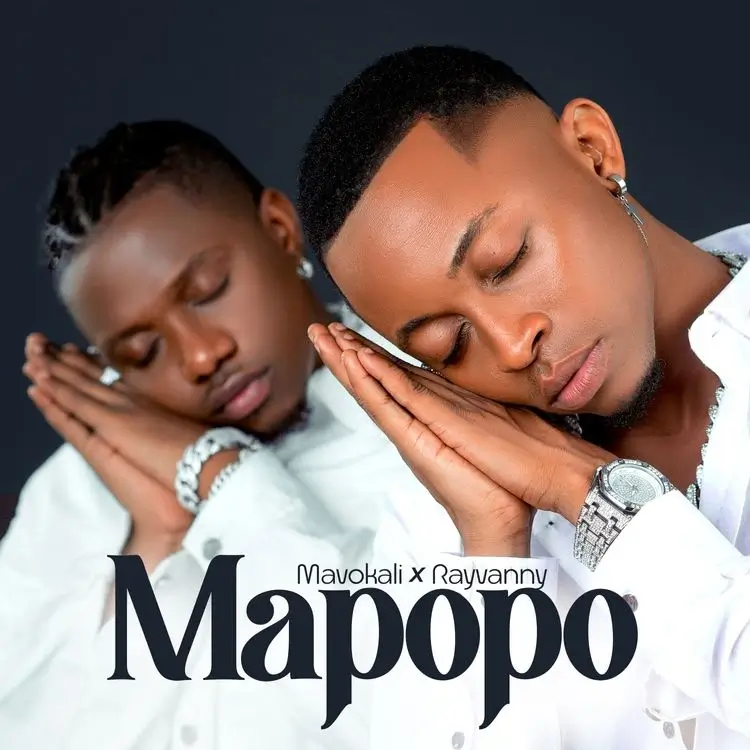 MP3 DOWNLOAD Mavokali Ft Rayvanny - Mapopo Remix