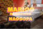 MP4 DOWNLOAD Marioo Ft Harmonize - Naogopa