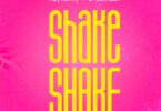 MP3 DOWNLOAD Rayvanny Ft DreamDoll - Shake Shake