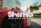 MP4 DOWNLOAD Marioo Ft Mr Nice - Shisha