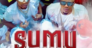 MP3 DOWNLOAD Alikiba Ft Marioo - Sumu