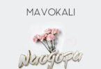 MP3 DOWNLOAD Mavokali – Naogopa