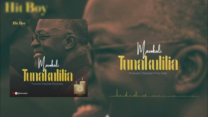 MP3 DOWNLOAD Mavokali – Tunakulilia