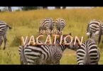 MP4 DOWNLOAD Rayvanny – Vacation