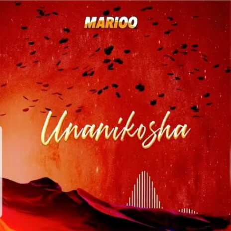 MP3 DOWNLOAD Marioo – Unanikosha