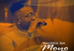 MP3 DOWNLOAD Meja Kunta - Naumia na Moyo