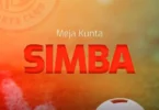 MP3 DOWNLOAD Meja Kunta - Simba