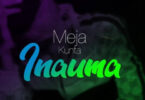 MP3 DOWNLOAD Meja Kunta - Inauma