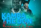 MP3 DOWNLOAD Kamba TheDon - Hapa Ni Wapi