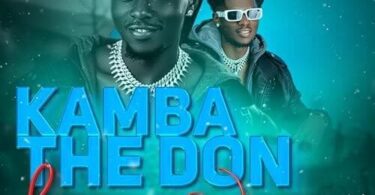 MP3 DOWNLOAD Kamba TheDon - Hapa Ni Wapi