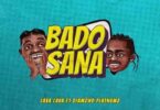 MP3 DOWNLOAD Lava Lava Ft Diamond Platnumz - Bado Sana