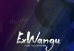 MP3 DOWNLOAD D Voice – Ex wangu