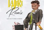 MP3 DOWNLOAD Lava Lava Ft 2Fani & Chobamc - Tajiri Remix