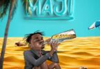 MP3 DOWNLOAD Lava Lava – Maji