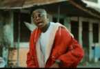 MP4 DOWNLOAD Meja Kunta - Boss Kalewa