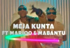 MP4 DOWNLOAD Meja Kunta Ft Marioo & Mabantu - Demu Wangu Remix