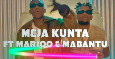 MP4 DOWNLOAD Meja Kunta Ft Marioo & Mabantu - Demu Wangu Remix